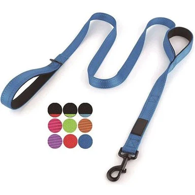 Mājdzīvnieks Pārnesums Soma